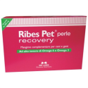 Ribes pet recovery 60 prl